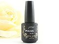 Y1PG015波麗膠-有漬上層透明15ml