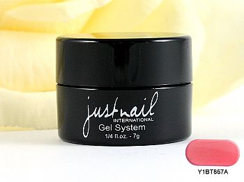 Y1BT867Ajustnail-1/4oz