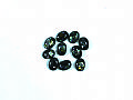 Y1NO324E璀燦貝殼-黑色 #2822 8mmx6mm G