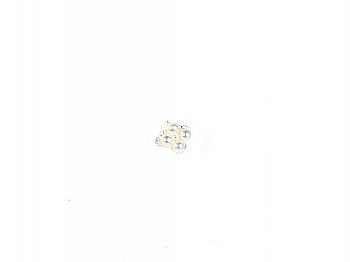 PA2419X~(9J)