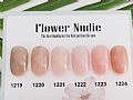 CH-Flower NudieIce Gel IM Poly色膠-Flower Nudie