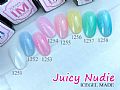CH-Juicy NudieIce Gel IM Poly色膠-Juicy Nudie系列
