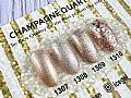 CQ-QUARTZIce Gel A Black色膠-香檳石英