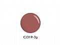CJ319ICE GEL A Black色膠 調膚系列 TM319
