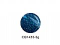 CQ1453ICE GEL A Black色膠-特麗霓虹閃光系列3g