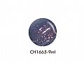 CH1665ICE GEL Meteor Star Galaxy流星貓眼系列