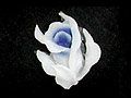 Y1SK0483D軟水晶-花苞