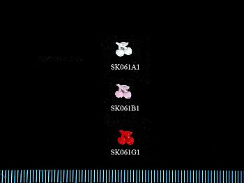 Y1SK061n