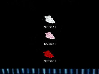 Y1SK059n