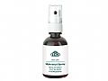 Y4B30359LCN淨甲調理噴霧 50ml