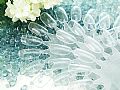Y1NA21Nails展示用甲片(18片/輪)透明 